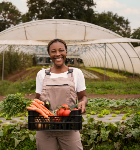 Capital and asset finance